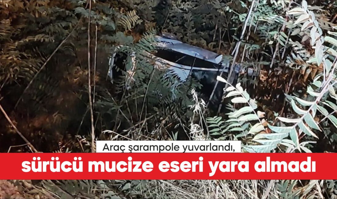 Gelibolu ilçesinde kontrolden çıkan otomobilin şarampole yuvarlandığı kazada sürücü yara