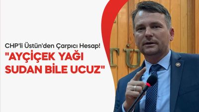 Edirne İl Genel Meclisi CHP Grup Başkanvekili Mustafa Üstün, ayçiçek