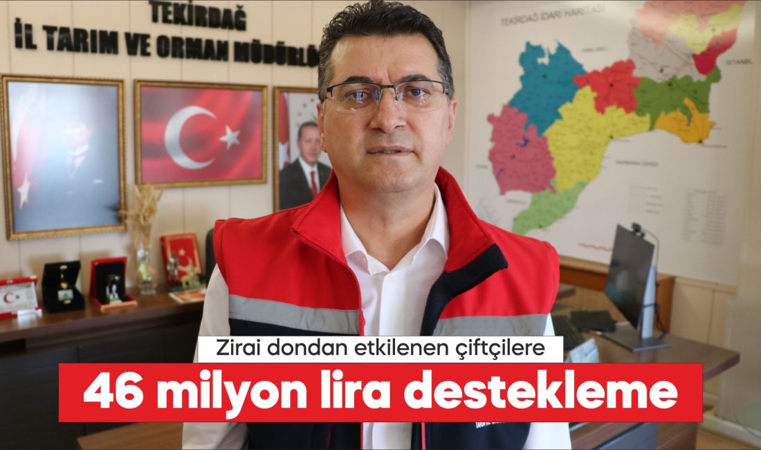 İl Tarım ve Orman Müdürü Mehmet Aksoy, bu yıl zirai