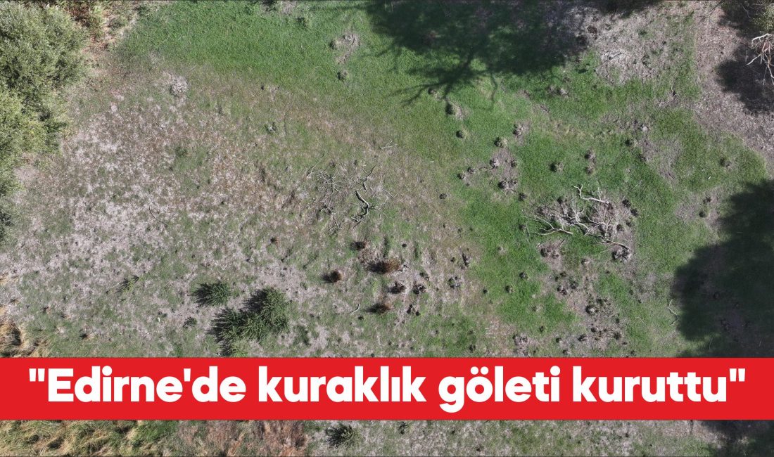Edirne'de merkeze bağlı Musabeyli köyünde bulunan gölet, kuraklık ve sıcaklara