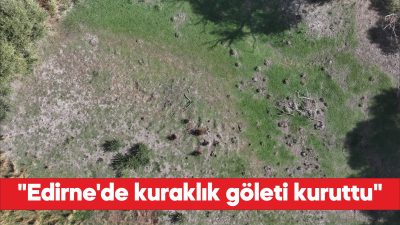 Edirne'de merkeze bağlı Musabeyli köyünde bulunan gölet, kuraklık ve sıcaklara