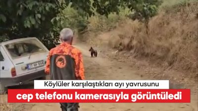 Çanakkale'de tarlada çalışan köylüler ayı yavrusunu cep telefonu kamerasıyla görüntüledi.