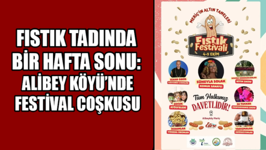 Meriç’e bağlı Alibey Köyü, tarihinde bir ilki yaşamaya hazırlanıyor. 4-5