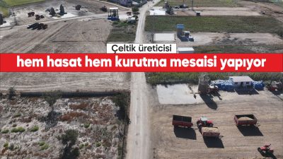 Türkiye'nin çeltik üretiminin yaklaşık yarısının yapıldığı Edirne'de, ürün kalitesi için