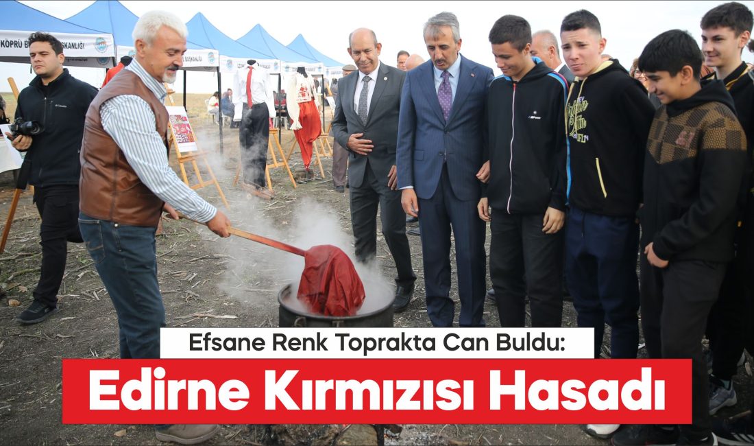 "Efsane renk" Edirne kırmızısının elde edildiği kök boya bitkisinin hasadına