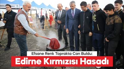 "Efsane renk" Edirne kırmızısının elde edildiği kök boya bitkisinin hasadına