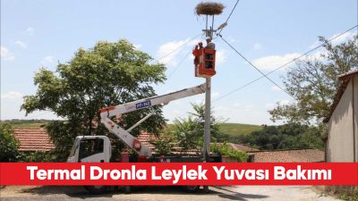 Trakya'da leylek yuvalarının bakımı termal kameralı dronla yapılıyor