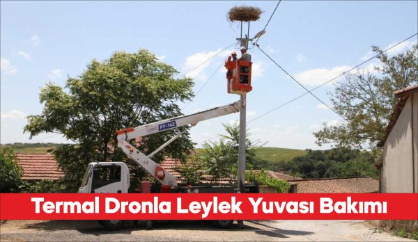 Trakya'da leylek yuvalarının bakımı termal kameralı dronla yapılıyor