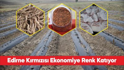 Edirne kırmızısı yapılan çalışmalarla ekonomik ve kültürel değer haline getirildi