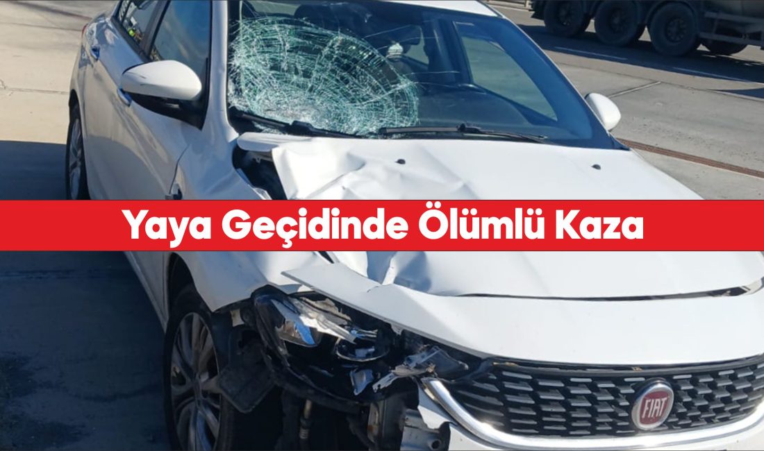 Tekirdağ'da otomobilin çarptığı kadın öldü