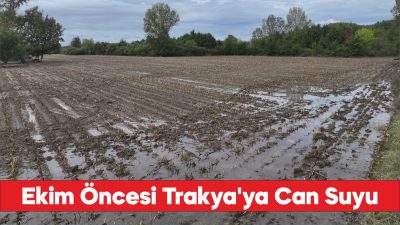 Geçen yıl kuru toprağa ekim yapan Trakya çiftçisi son yağışlarla