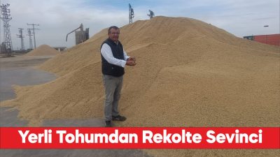 İpsala'da çeltik üreticileri yerli tohumla yüksek verim elde etti