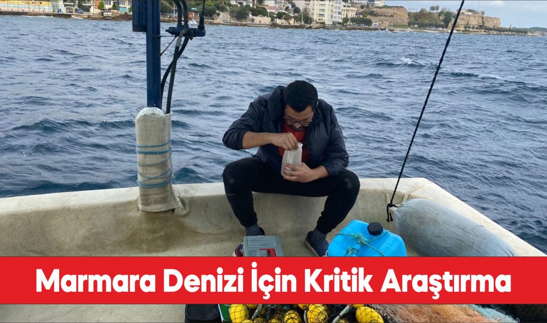 Marmara Denizi araştırmak için Gelibolu'dan numune alındı