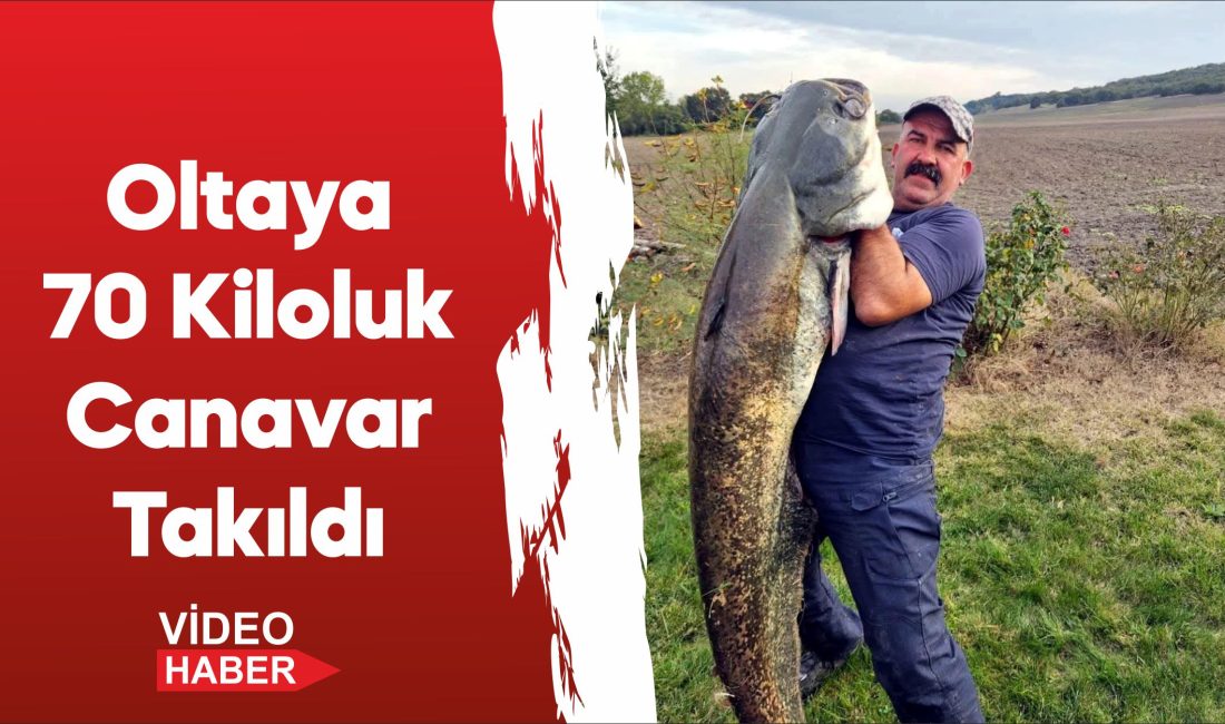 Tekirdağ'da 70 kilogramlık yayın balığı yakalandı