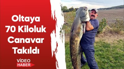 Tekirdağ'da 70 kilogramlık yayın balığı yakalandı