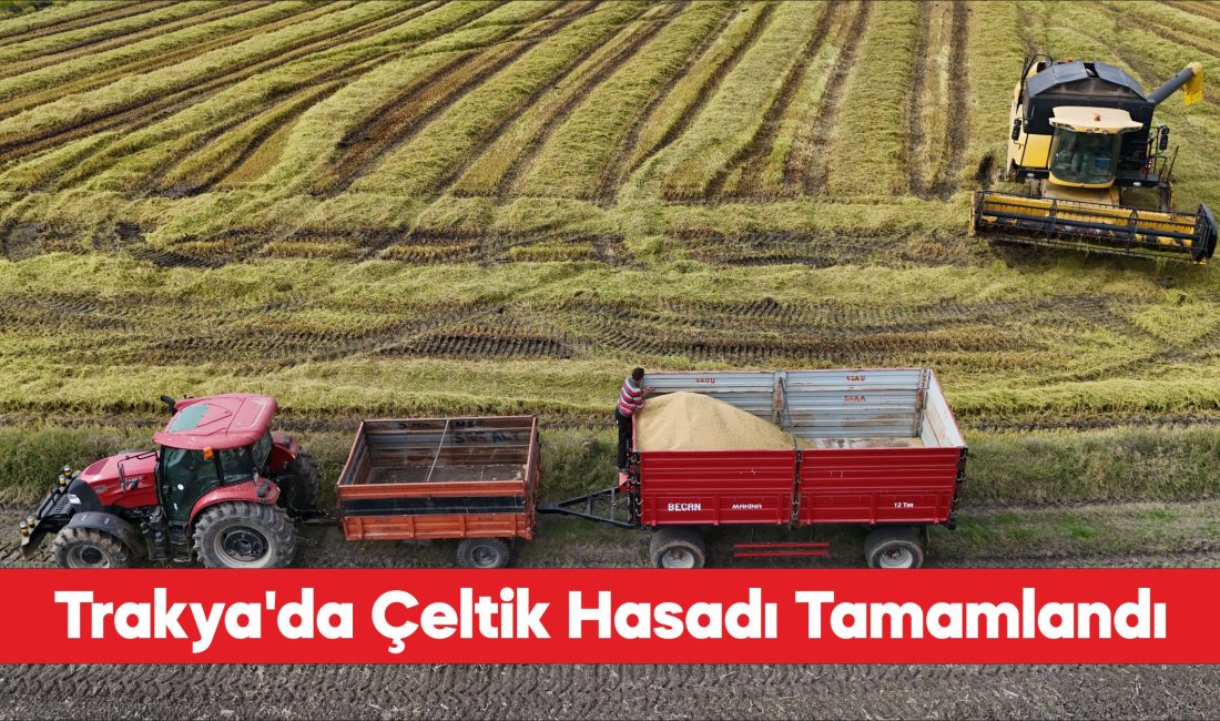 "Türkiye'nin çeltik ambarı" olarak nitelenen Trakya'da hasat tamamlandı