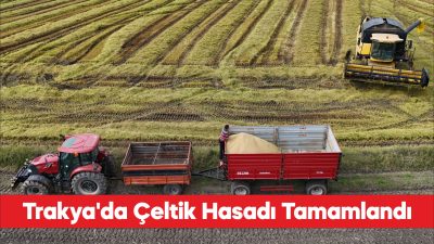 "Türkiye'nin çeltik ambarı" olarak nitelenen Trakya'da hasat tamamlandı