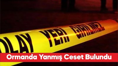 Çanakkale'de ormanda yanmış halde ceset bulundu
