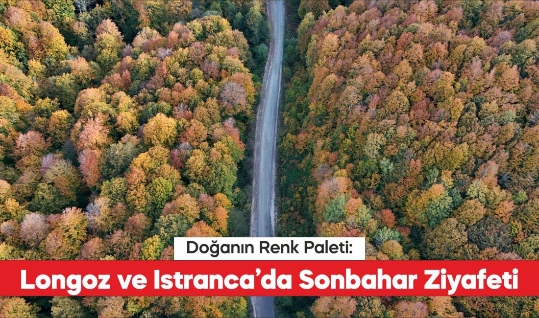 Kırklareli'nin Longoz ve Istranca ormanları sonbaharın renklerine büründü