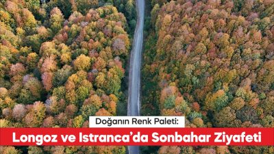 Kırklareli'nin Longoz ve Istranca ormanları sonbaharın renklerine büründü