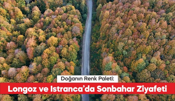Kırklareli'nin Longoz ve Istranca ormanları sonbaharın renklerine büründü