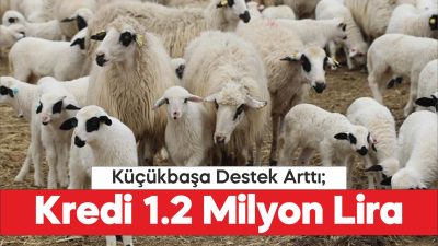 Edirne’de küçükbaş hayvancılığa verilen destek artırıldı.