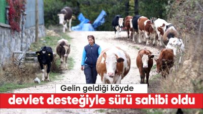 Genç Çiftçi Projesi'nden 2016 yılında 6 gebe düve alan Akçay,