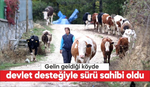 Genç Çiftçi Projesi'nden 2016 yılında 6 gebe düve alan Akçay,