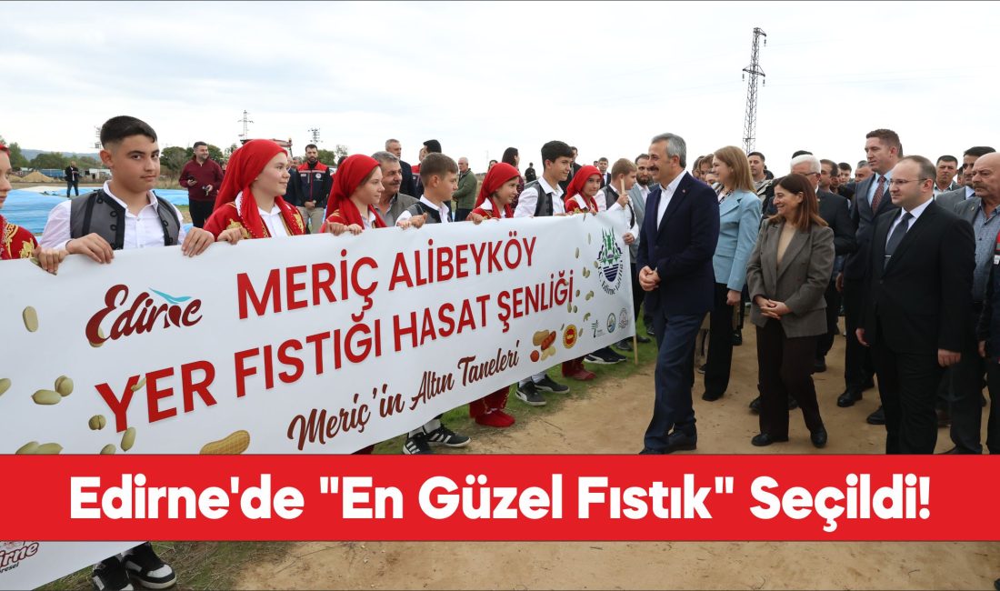 Edirne'de düzenlenen fıstık festivalinde "en güzel fıstık" seçildi