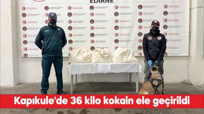 Kapıkule'de bir kamyonette 36 kilo 180 gram kokain ele geçirildi