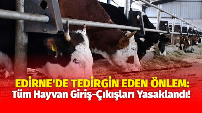 Edirne İl Tarım Müdürlüğü, il genelinde , salgın ve bulaşıcı