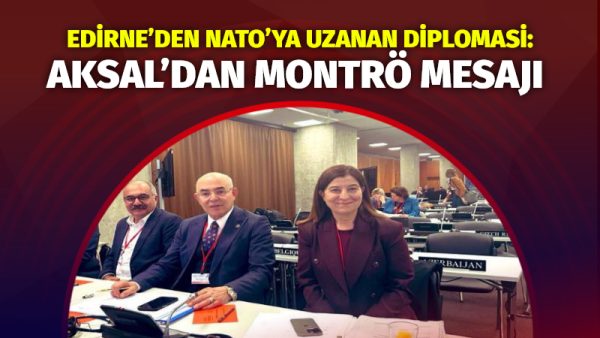 AK Parti Edirne Milletvekili ve NATO Parlamenter Asamblesi Türk Grubu
