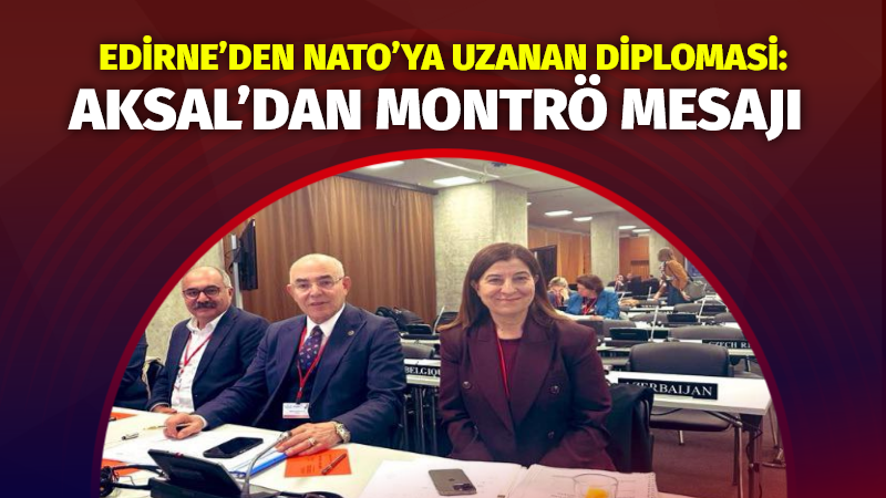 AK Parti Edirne Milletvekili ve NATO Parlamenter Asamblesi Türk Grubu