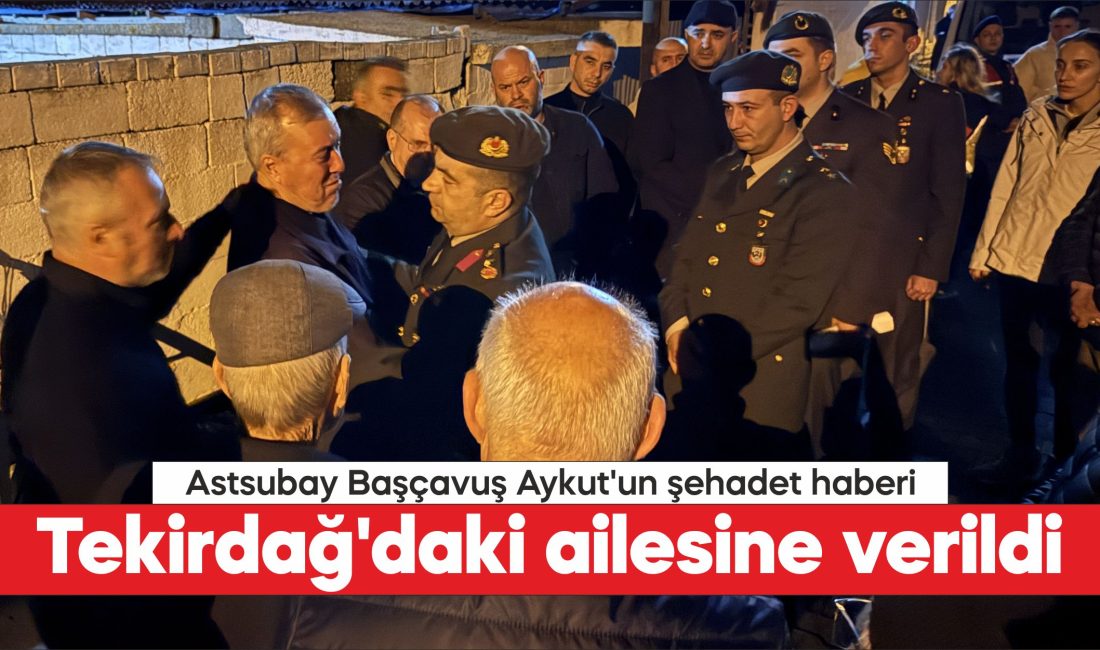 Gürcistan-Azerbaycan sınırında düşen C130 tipi askeri kargo uçağında bulunan Hava