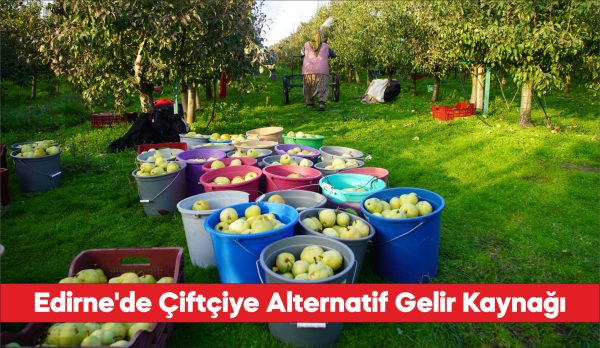 Edirne'de devlet desteğiyle yaygınlaşan meyve bahçeleri çiftçilere alternatif gelir kaynağı