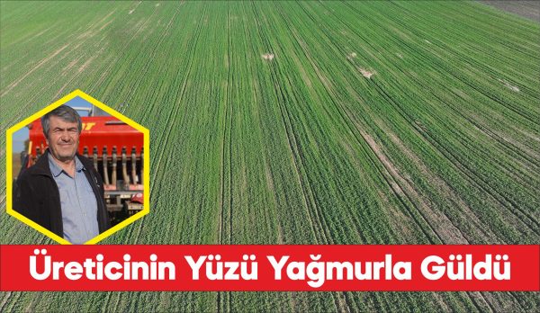 Edirne'de son dönemdeki yağışlar kanola üreticisini sevindirdi.