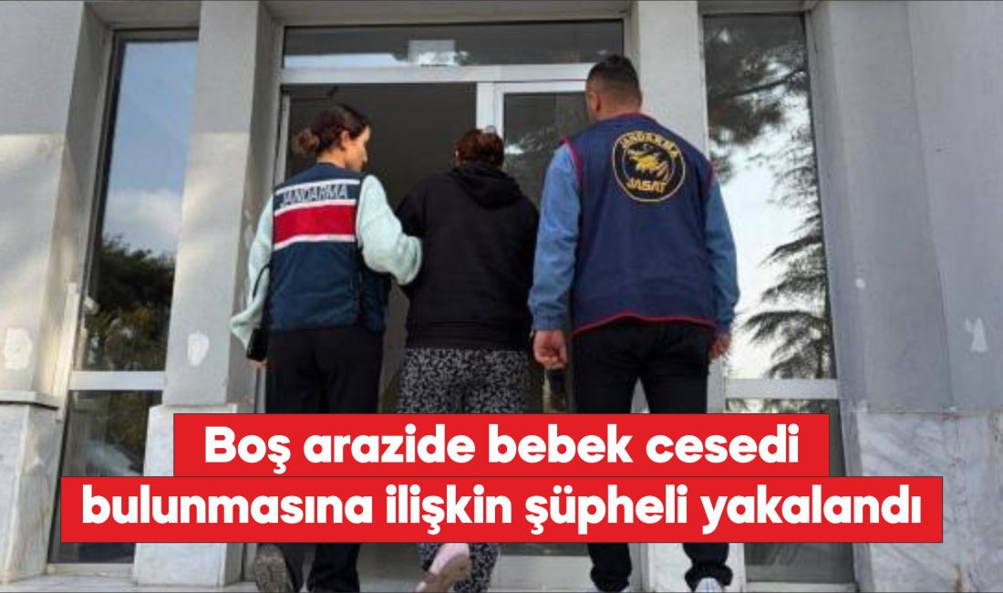 Çanakkale’nin Ayvacık ilçesinde, boş arazide kız bebeği cesedi bulunmasıyla ilgili