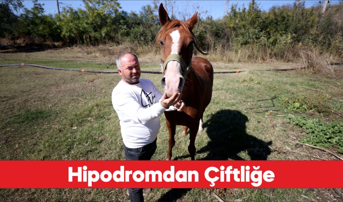 Erken teşhisle kanseri yenen eski jokey, köyünde şampiyon atlar yetiştiriyor