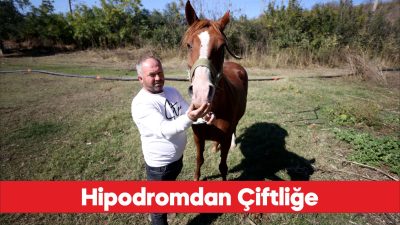 Erken teşhisle kanseri yenen eski jokey, köyünde şampiyon atlar yetiştiriyor