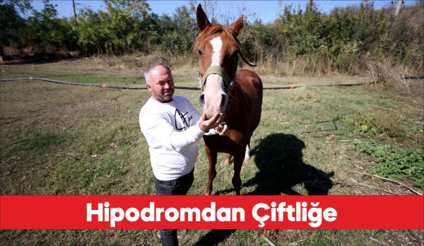 Erken teşhisle kanseri yenen eski jokey, köyünde şampiyon atlar yetiştiriyor