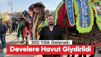 Çan'da yarışacak develere havut giydirildi