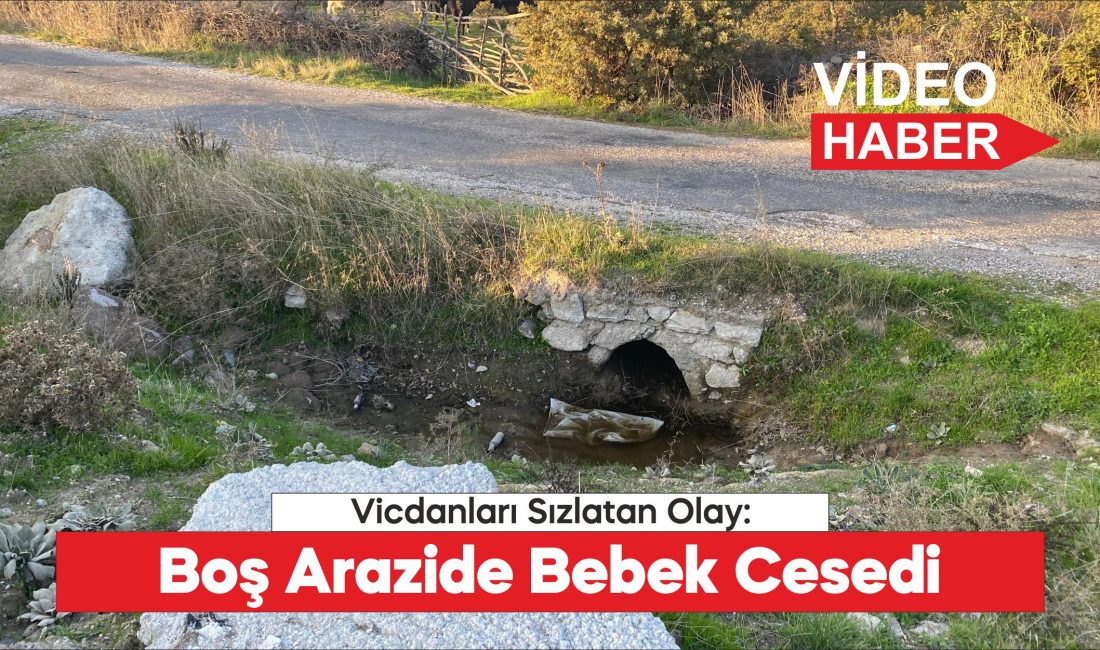 Çanakkale'de boş arazide bebek cesedi
