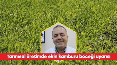 Tekirdağ Namık Kemal Üniversitesi (NKÜ) Ziraat Fakültesi Bitki Koruma Bölümü
