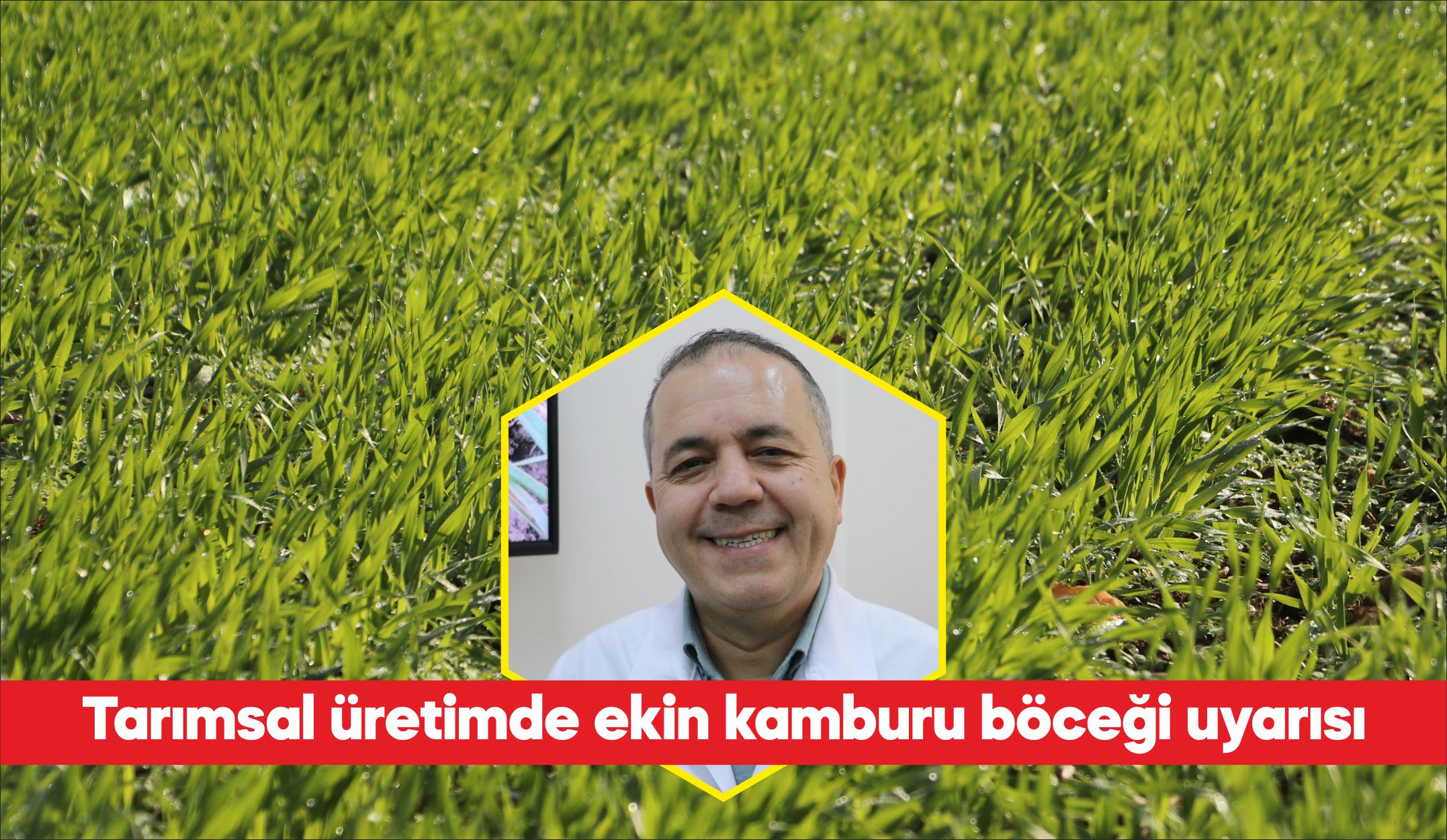 Tekirdağ Namık Kemal Üniversitesi (NKÜ) Ziraat Fakültesi Bitki Koruma Bölümü