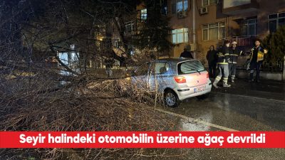 Edirne’de seyir halindeki bir otomobilin üzerine ağaç devrildi. Murat Mahallesi’nde