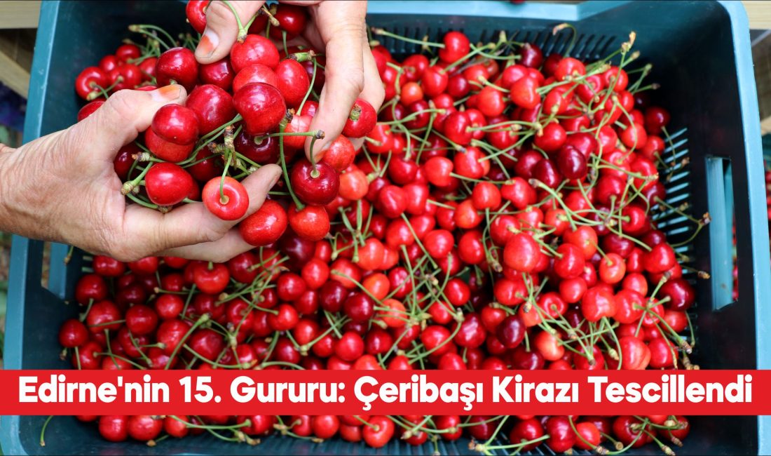 Edirne’de yetiştirilen “Çeribaşı kirazı” Türk