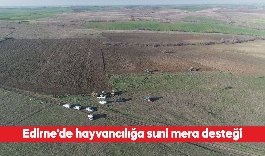 Edirne’nin köylerinde suni mera alanları