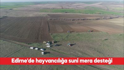 Edirne’nin köylerinde suni mera alanları genişletiliyor. İl Tarım ve Orman
