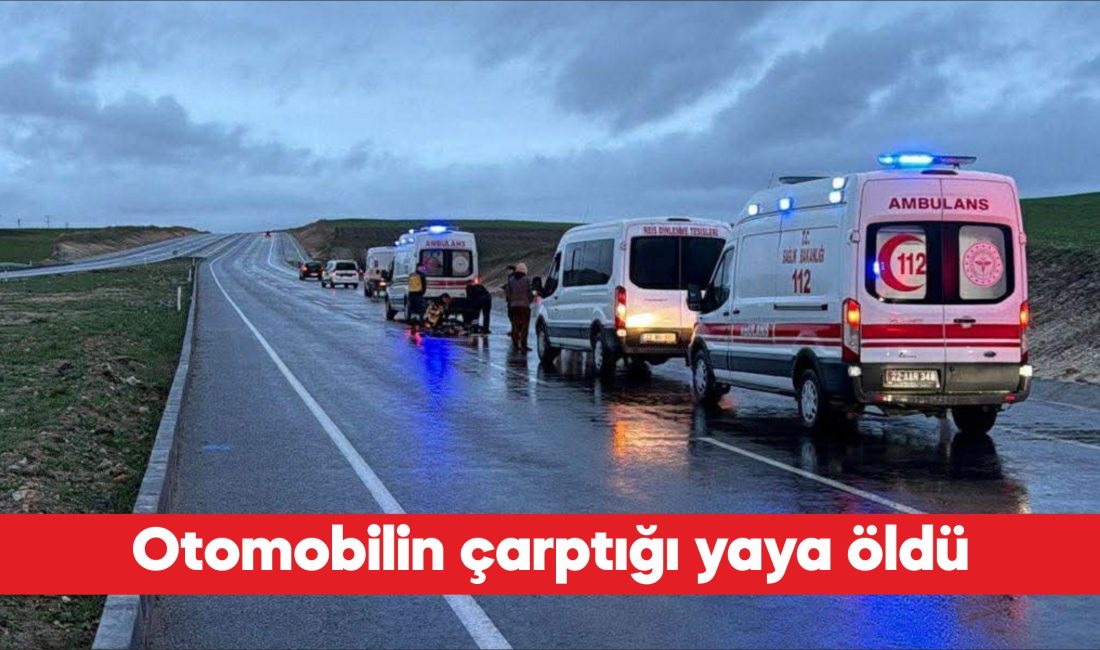 Edirne’de otomobilin çarptığı yaya hayatını kaybetti. M.İ’nin kullandığı 10 AHG