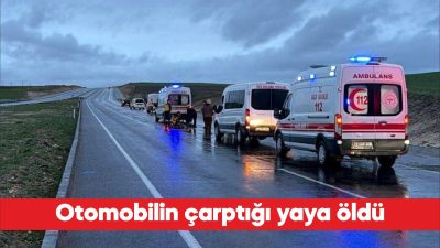 Edirne’de otomobilin çarptığı yaya hayatını kaybetti. M.İ’nin kullandığı 10 AHG